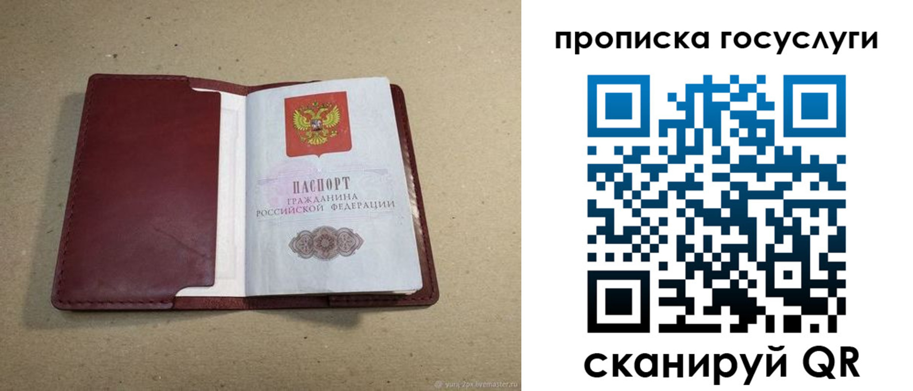прописка поиск в Новокузнецке